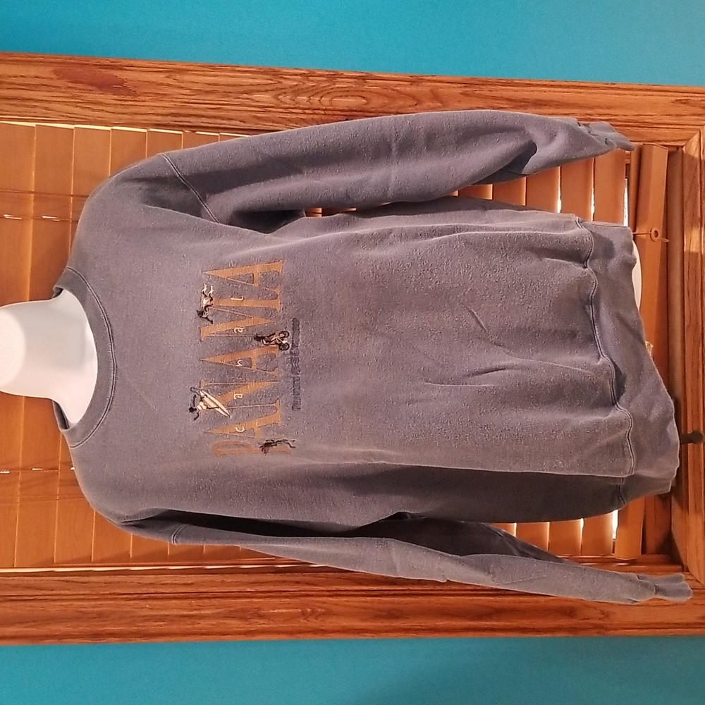 🔮 One of A Kind - Princess Cruises Collection Sweatshirt (medium) Panamal Canal